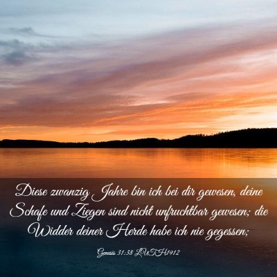 Picture 03 - Genesis 31:38 LUTH1912 - Diese zwanzig Jahre bin ich bei dir gewesen, - Bible Verse Picture