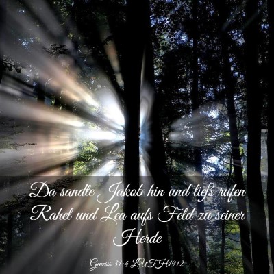 Picture 03 - Genesis 31:4 LUTH1912 - Da sandte Jakob hin und ließ rufen Rahel und Lea - Bible Verse Picture