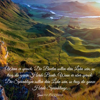 Picture 03 - Genesis 31:8 LUTH1912 - Wenn er sprach: Die Bunten sollen dein Lohn sein, - Bible Verse Picture