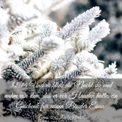 Picture 03 - Genesis 32:13 LUTH1912 - 32:14 Und er blieb die Nacht da und nahm von dem, - Bible Verse Picture