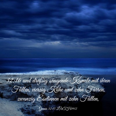 Picture 03 - Genesis 32:15 LUTH1912 - 32:16 und dreißig säugende Kamele mit ihren - Bible Verse Picture