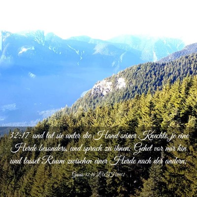 Picture 03 - Genesis 32:16 LUTH1912 - 32:17 und tat sie unter die Hand seiner Knechte, - Bible Verse Picture