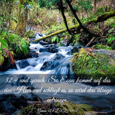 Picture 03 - Genesis 32:8 LUTH1912 - 32:9 und sprach: So Esau kommt auf das eine Heer - Bible Verse Picture