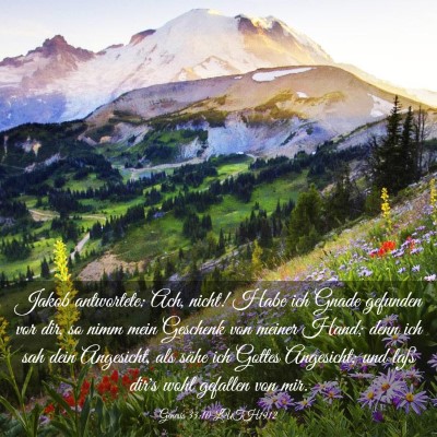 Picture 03 - Genesis 33:10 LUTH1912 - Jakob antwortete: Ach, nicht! Habe ich Gnade - Bible Verse Picture