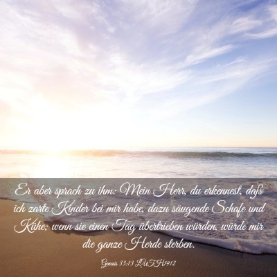 Picture 03 - Genesis 33:13 LUTH1912 - Er aber sprach zu ihm: Mein Herr, du erkennest, - Bible Verse Picture
