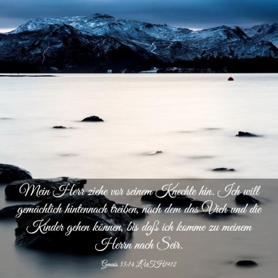 Picture 03 - Genesis 33:14 LUTH1912 - Mein Herr ziehe vor seinem Knechte hin. Ich will - Bible Verse Picture