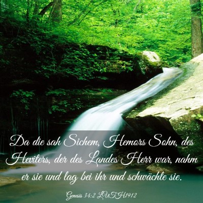 Picture 03 - Genesis 34:2 LUTH1912 - Da die sah Sichem, Hemors Sohn, des Heviters, der - Bible Verse Picture