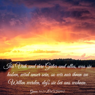 Picture 03 - Genesis 34:23 LUTH1912 - Ihr Vieh und ihre Güter und alles, was sie - Bible Verse Picture
