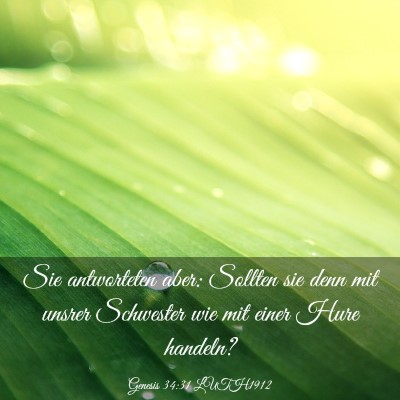 Picture 03 - Genesis 34:31 LUTH1912 - Sie antworteten aber: Sollten sie denn mit unsrer - Bible Verse Picture