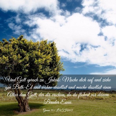 Picture 03 - Genesis 35:1 LUTH1912 - Und Gott sprach zu Jakob: Mache dich auf und - Bible Verse Picture