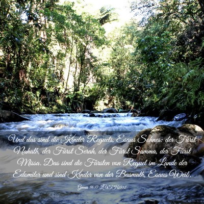 Picture 03 - Genesis 36:17 LUTH1912 - Und das sind die Kinder Reguels, Esaus Sohnes: - Bible Verse Picture
