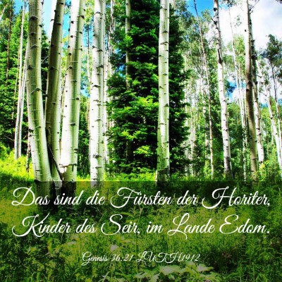 Picture 03 - Genesis 36:21 LUTH1912 - Das sind die Fürsten der Horiter, Kinder des - Bible Verse Picture