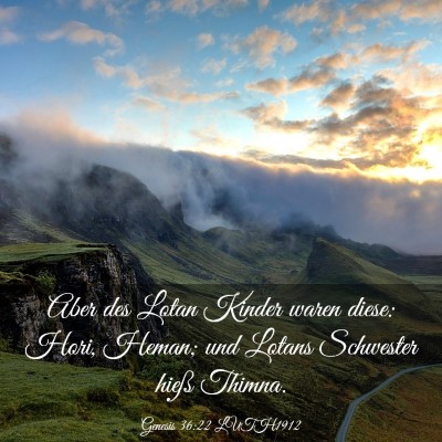 Picture 03 - Genesis 36:22 LUTH1912 - Aber des Lotan Kinder waren diese: Hori, Heman; - Bible Verse Picture