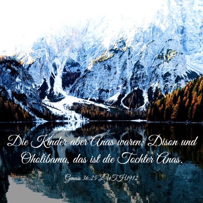 Picture 03 - Genesis 36:25 LUTH1912 - Die Kinder aber Anas waren: Dison und Oholibama, - Bible Verse Picture