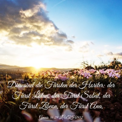Picture 03 - Genesis 36:29 LUTH1912 - Dies sind die Fürsten der Horiter: der Fürst - Bible Verse Picture