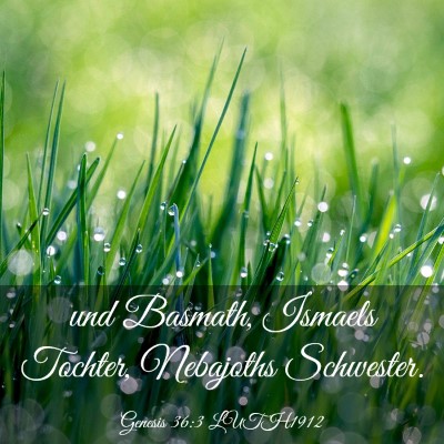 Picture 03 - Genesis 36:3 LUTH1912 - und Basmath, Ismaels Tochter, Nebajoths - Bible Verse Picture