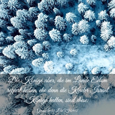 Picture 03 - Genesis 36:31 LUTH1912 - Die Könige aber, die im Lande Edom regiert - Bible Verse Picture