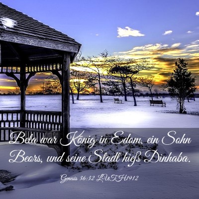 Picture 03 - Genesis 36:32 LUTH1912 - Bela war König in Edom, ein Sohn Beors, und - Bible Verse Picture