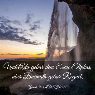 Picture 03 - Genesis 36:4 LUTH1912 - Und Ada gebar dem Esau Eliphas, aber Basmath - Bible Verse Picture