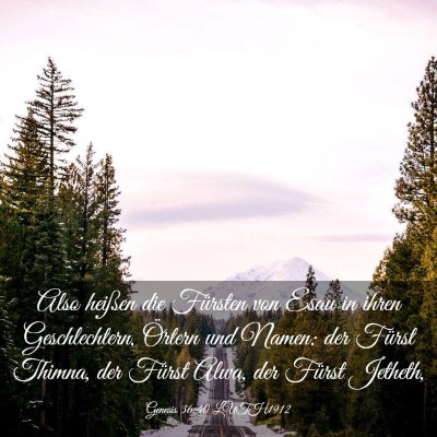 Picture 03 - Genesis 36:40 LUTH1912 - Also heißen die Fürsten von Esau in ihren - Bible Verse Picture