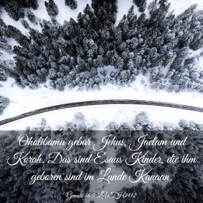 Picture 03 - Genesis 36:5 LUTH1912 - Oholibama gebar Jehus, Jaelam und Korah. Das sind - Bible Verse Picture