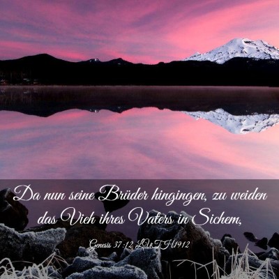 Picture 03 - Genesis 37:12 LUTH1912 - Da nun seine Brüder hingingen, zu weiden das - Bible Verse Picture