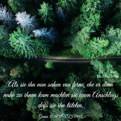 Picture 03 - Genesis 37:18 LUTH1912 - Als sie ihn nun sahen von ferne, ehe er denn nahe - Bible Verse Picture