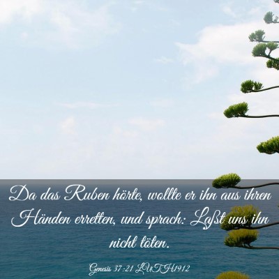 Picture 03 - Genesis 37:21 LUTH1912 - Da das Ruben hörte, wollte er ihn aus ihren - Bible Verse Picture