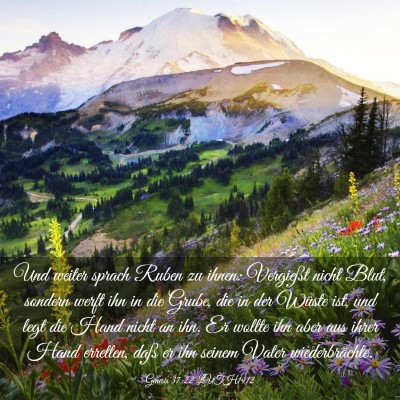 Picture 03 - Genesis 37:22 LUTH1912 - Und weiter sprach Ruben zu ihnen: Vergießt nicht - Bible Verse Picture