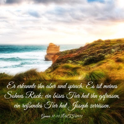 Picture 03 - Genesis 37:33 LUTH1912 - Er erkannte ihn aber und sprach: Es ist meines - Bible Verse Picture