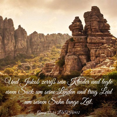 Picture 03 - Genesis 37:34 LUTH1912 - Und Jakob zerriß sein Kleider und legte einen - Bible Verse Picture
