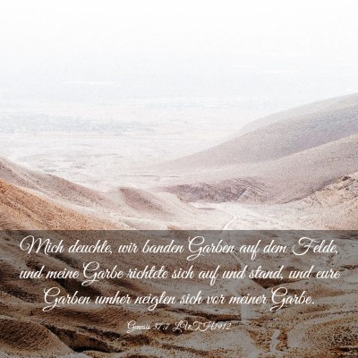 Picture 03 - Genesis 37:7 LUTH1912 - Mich deuchte, wir banden Garben auf dem Felde, - Bible Verse Picture