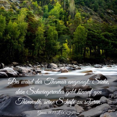 Picture 03 - Genesis 38:13 LUTH1912 - Da ward der Thamar angesagt: Siehe, dein - Bible Verse Picture