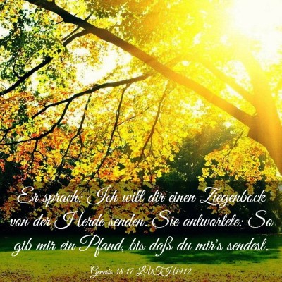 Picture 03 - Genesis 38:17 LUTH1912 - Er sprach: Ich will dir einen Ziegenbock von der - Bible Verse Picture