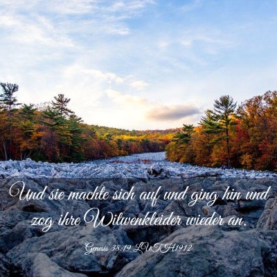 Picture 03 - Genesis 38:19 LUTH1912 - Und sie machte sich auf und ging hin und zog ihre - Bible Verse Picture