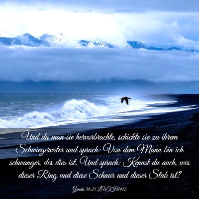 Picture 03 - Genesis 38:25 LUTH1912 - Und da man sie hervorbrachte, schickte sie zu - Bible Verse Picture