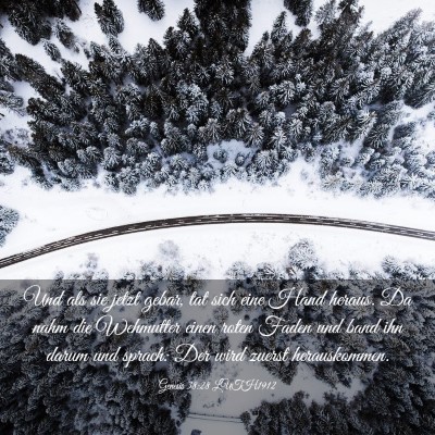 Picture 03 - Genesis 38:28 LUTH1912 - Und als sie jetzt gebar, tat sich eine Hand - Bible Verse Picture