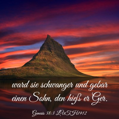 Picture 03 - Genesis 38:3 LUTH1912 - ward sie schwanger und gebar einen Sohn, den - Bible Verse Picture