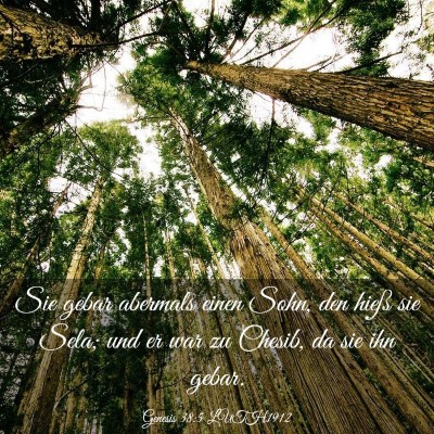 Picture 03 - Genesis 38:5 LUTH1912 - Sie gebar abermals einen Sohn, den hieß sie - Bible Verse Picture