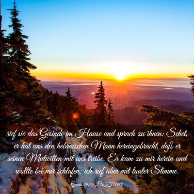 Picture 03 - Genesis 39:14 LUTH1912 - rief sie das Gesinde im Hause und sprach zu - Bible Verse Picture