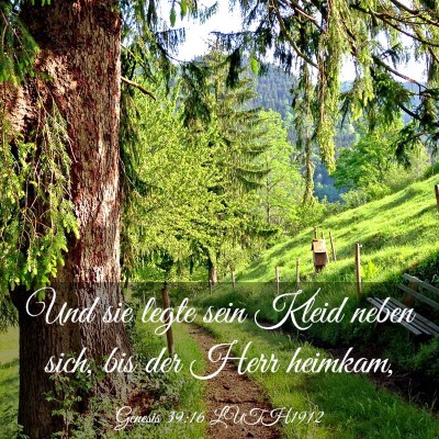 Picture 03 - Genesis 39:16 LUTH1912 - Und sie legte sein Kleid neben sich, bis der Herr - Bible Verse Picture