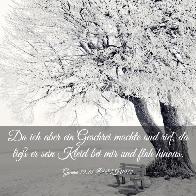 Picture 03 - Genesis 39:18 LUTH1912 - Da ich aber ein Geschrei machte und rief, da - Bible Verse Picture