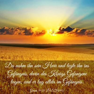 Picture 03 - Genesis 39:20 LUTH1912 - Da nahm ihn sein Herr und legte ihn ins - Bible Verse Picture