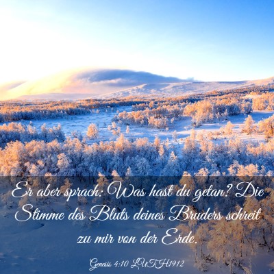 Picture 03 - Genesis 4:10 LUTH1912 - Er aber sprach: Was hast du getan? Die Stimme des - Bible Verse Picture