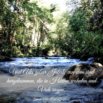 Picture 03 - Genesis 4:20 LUTH1912 - Und Ada gebar Jabal; von dem sind hergekommen, - Bible Verse Picture