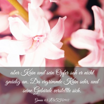Picture 03 - Genesis 4:5 LUTH1912 - aber Kain und sein Opfer sah er nicht gnädig an. - Bible Verse Picture
