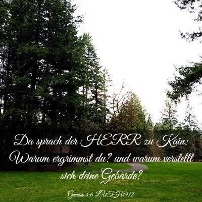 Picture 03 - Genesis 4:6 LUTH1912 - Da sprach der HERR zu Kain: Warum ergrimmst du? - Bible Verse Picture