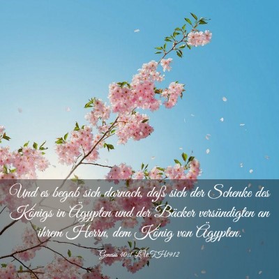 Picture 03 - Genesis 40:1 LUTH1912 - Und es begab sich darnach, daß sich der Schenke - Bible Verse Picture