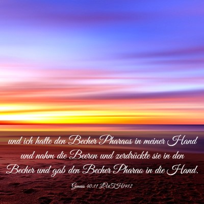 Picture 03 - Genesis 40:11 LUTH1912 - und ich hatte den Becher Pharaos in meiner Hand - Bible Verse Picture