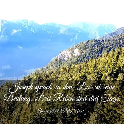 Picture 03 - Genesis 40:12 LUTH1912 - Joseph sprach zu ihm: Das ist seine Deutung. Drei - Bible Verse Picture